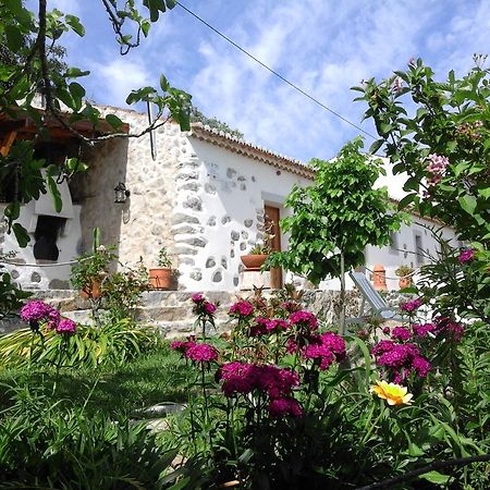 Quinta Do Tempo Turismo Rural Моншіке Екстер'єр фото