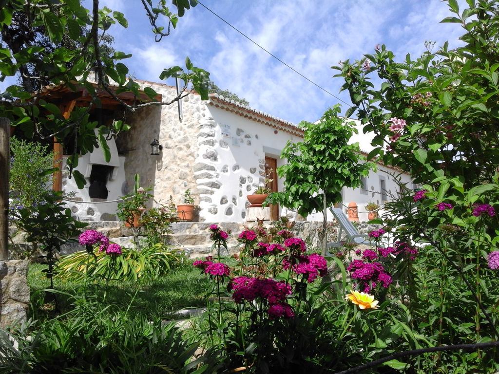 Quinta Do Tempo Turismo Rural Моншіке Екстер'єр фото